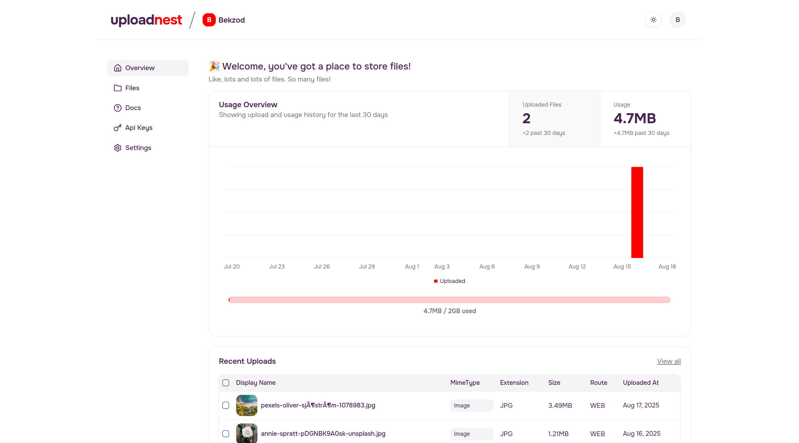 Project Banner