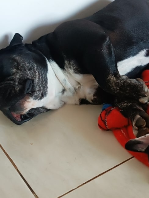 imagem da avaliação