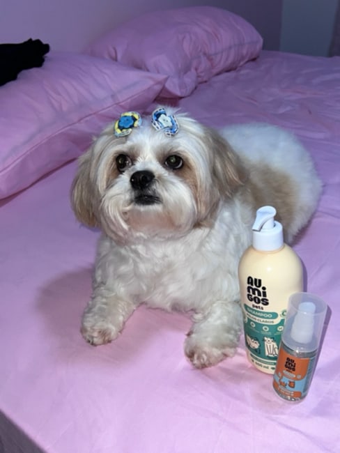 imagem da avaliação