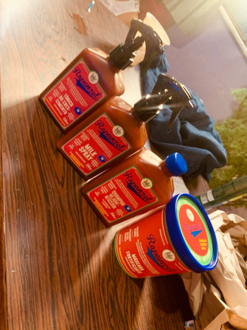 imagem da avaliação