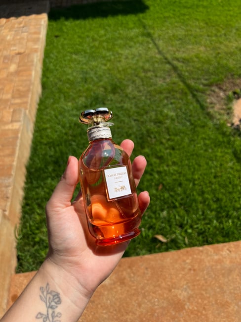 imagem da avaliação