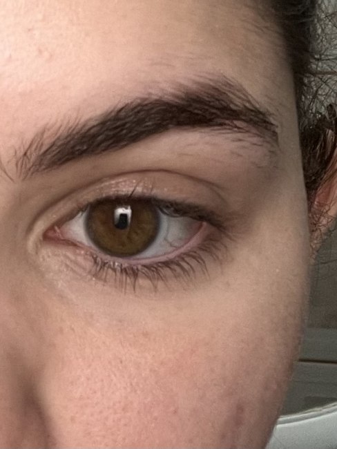 imagem da avaliação