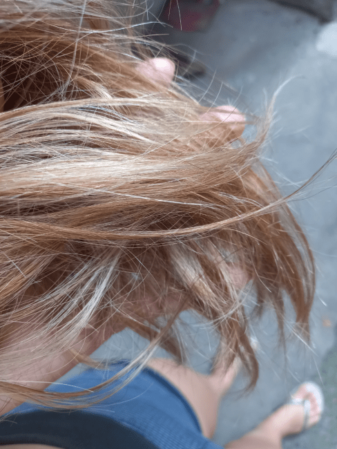 imagem da avaliação