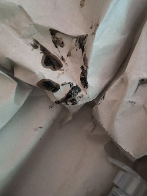 imagem da avaliação