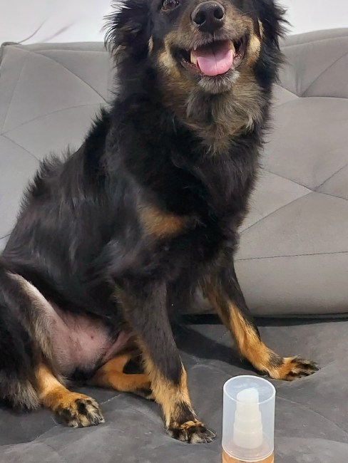 imagem da avaliação