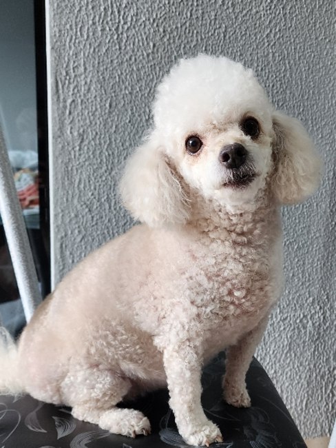 imagem da avaliação