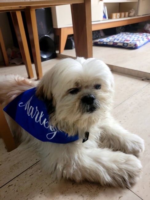 imagem da avaliação