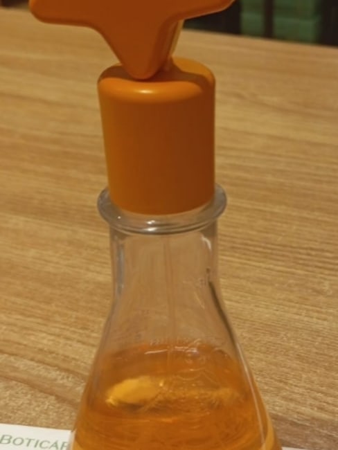 imagem da avaliação