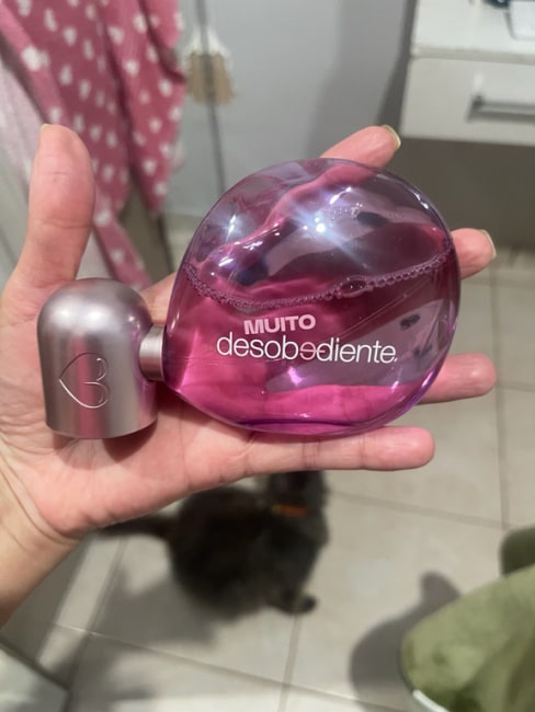 imagem da avaliação