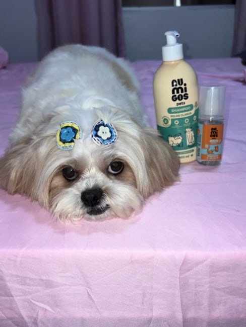 imagem da avaliação