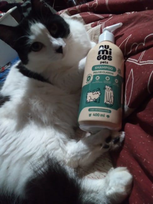 imagem da avaliação