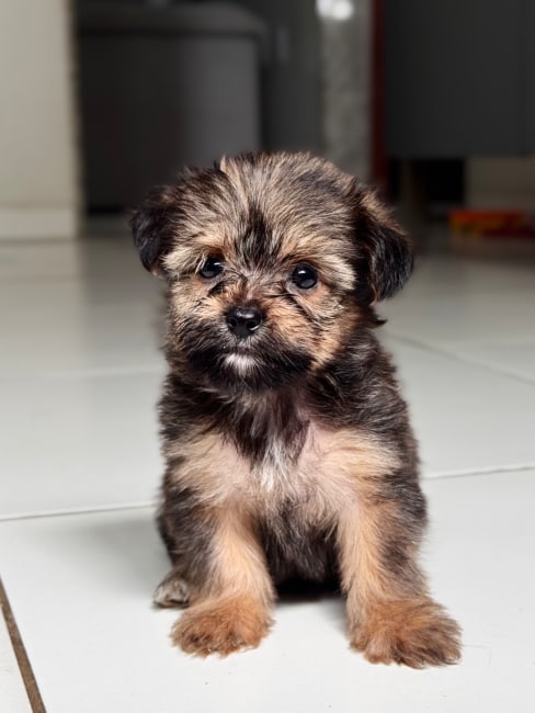 imagem da avaliação