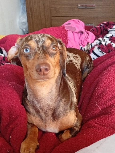 imagem da avaliação