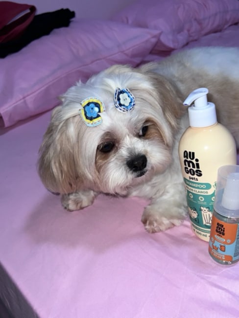 imagem da avaliação