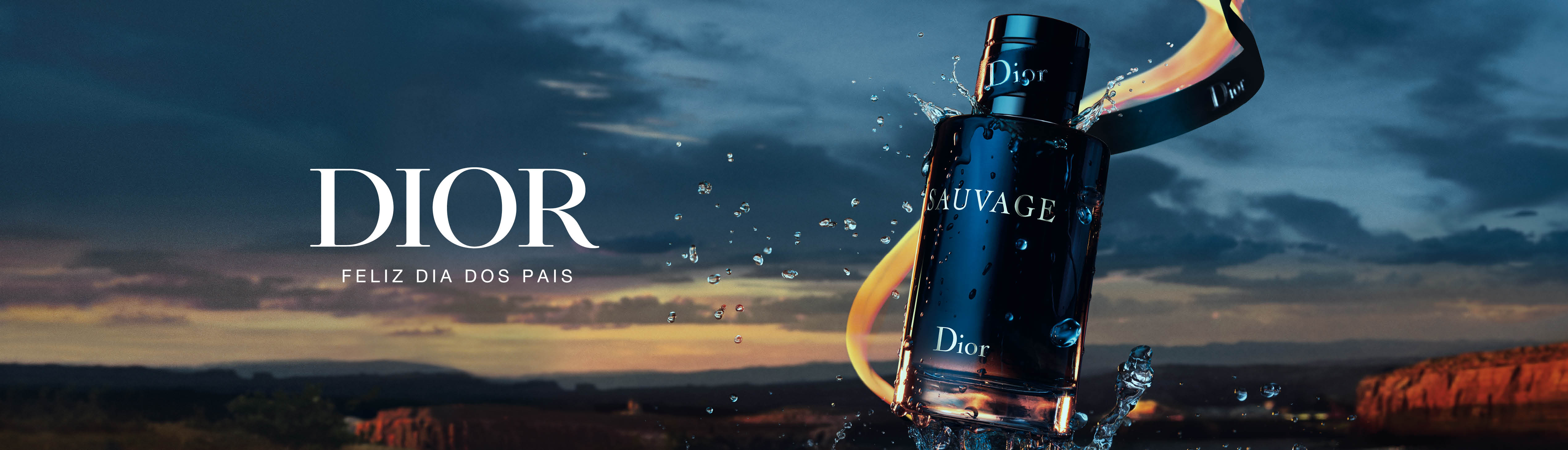 Perfumes Masculinos Dior