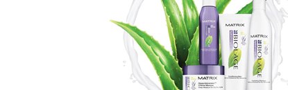 Matrix Biolage Repairinside