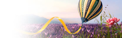 L'Occitane para a Pele de Mãos e Pés