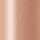Shiseido Perfecting Stick Concealer 11 Light - Corretivo em Bastão 5g