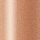 Shiseido Perfecting Stick Concealer 22 Natural Light - Corretivo em Bastão 5g