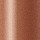 Shiseido Perfecting Stick Concealer 55 Medium Deep - Corretivo em Bastão 5g