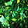 Colormake Shine Formatos Diamante Verde - Glitter 2g