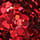 Colormake Shine Formatos Coração Vermelho - Glitter 2g