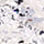 Colormake Shine Formatos Diamante 3D Perola Prata - Glitter 2g