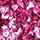 Colormake Shine Formatos Diamante 3D Rosa - Glitter 2g