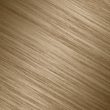 Niely Cosméticos Cor & Ton 9.01 Louro Cinza Extra Claro - Coloração Permanente