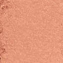 Blush Colour Infusion Ginger - Blush Compacto 6g