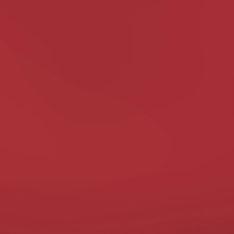 Batom Líquido Niina Secrets Skinny Matte Vermelho Hibisco - Eudora