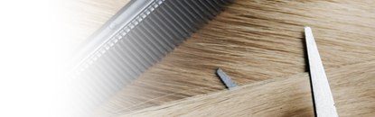 Spray Fixador Vertix
