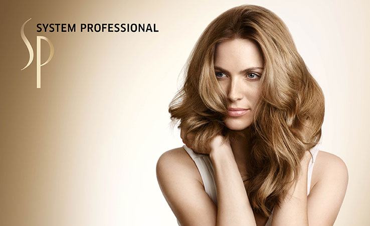 SP System Professional