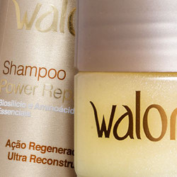 Walory Power Repair recupera o cabelo danificado por agressões diversas, repara e reconstrói a fibra capilar com nutrição para cabelo leve, macio e com brilho.