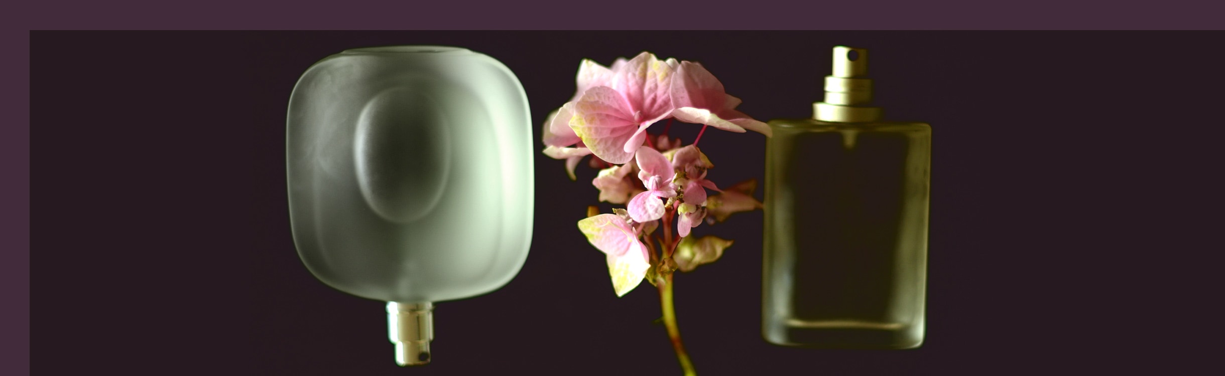 Perfumes Aromáticos Femininos