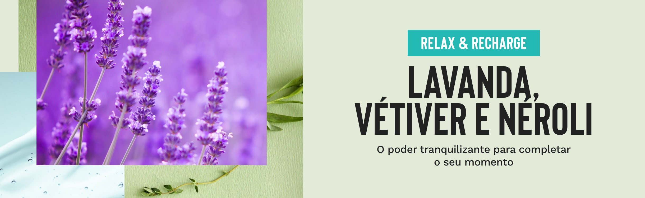 O Poder dos aromas: Tranquilizante