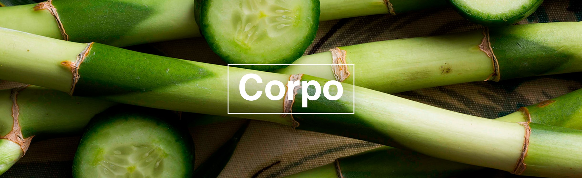 Cuidados com o corpo