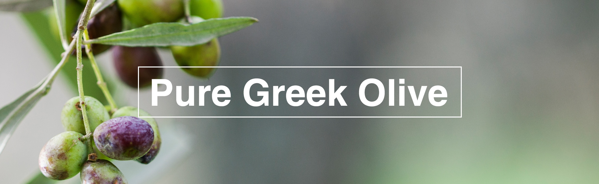 Greek Olive