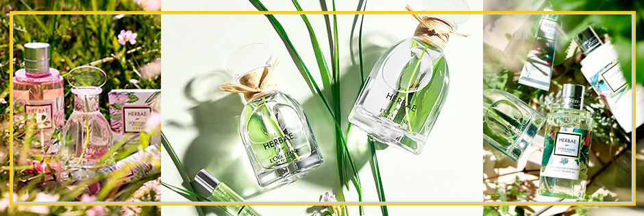 L'Occitane en Provence Herbae