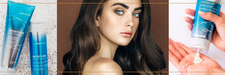 Joico Moisture Recovery
