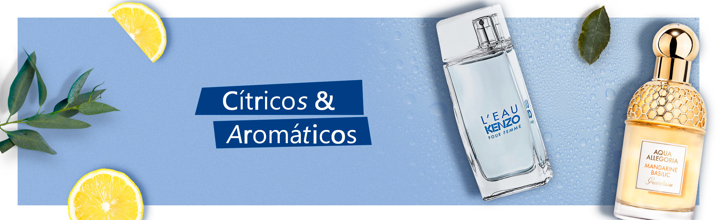 Perfumes e Perfumaria Cítricos e Aromáticos