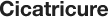 Cicatricure