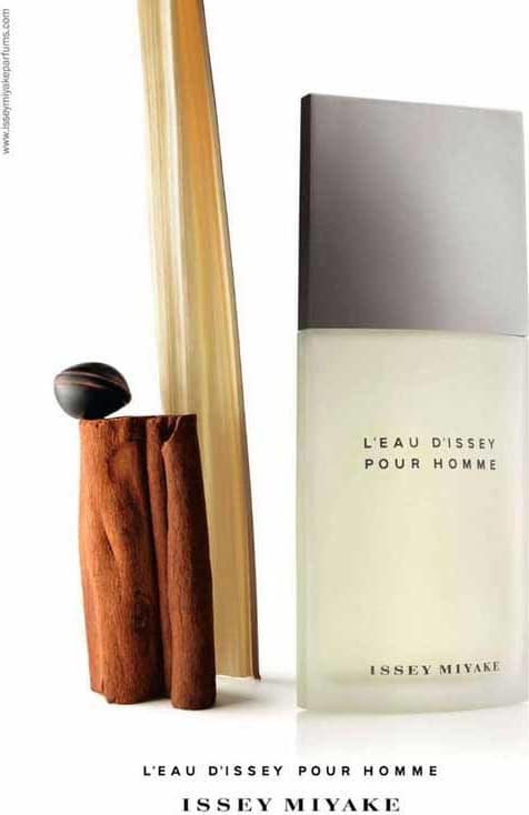 L'Eau d'Issey Pour Homme Issey Miyake Eau de Toilette - Perfume Masculino 75ml