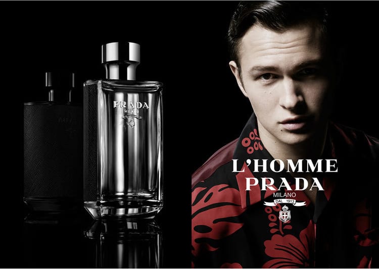 L'Homme Prada PRADA Eau de Toilette - Perfume Masculino 100ml