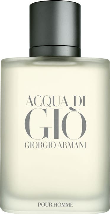 Acqua di Giò Pour Homme Giorgio Armani Eau de Toilette - Perfume Masculino 100ml