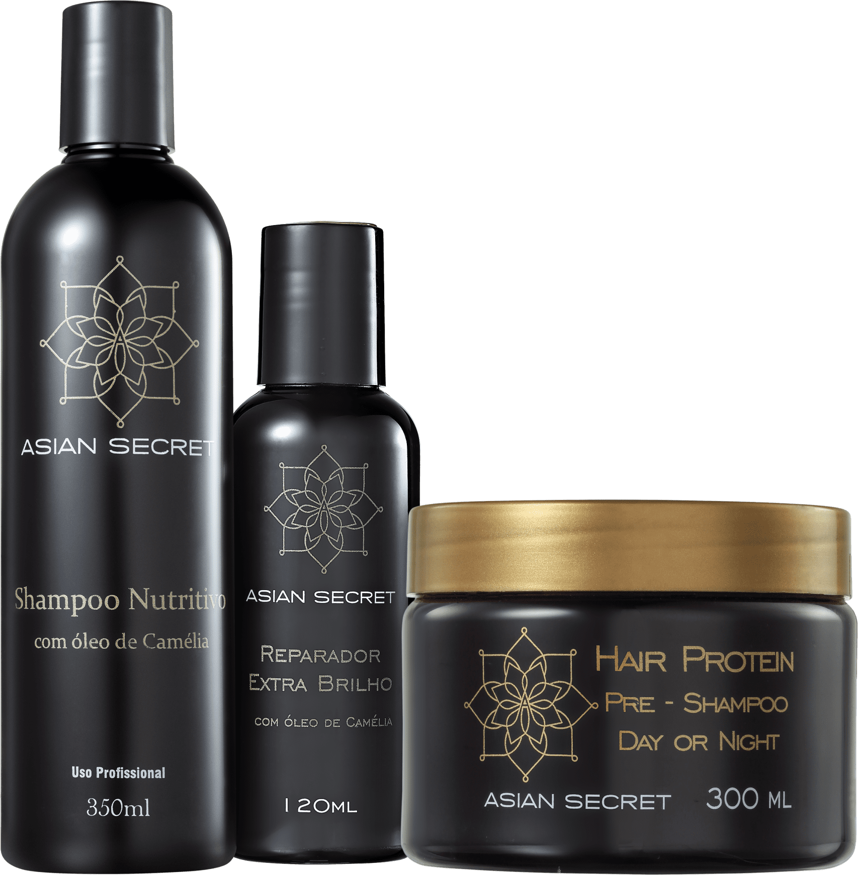 Kit Asian Secret Hair Protein Nutritivo Extra Brilho (3 Produtos)