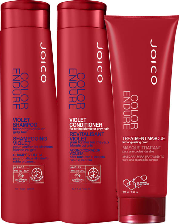 Joico Color Endure Violet Treat Kit (3 Produtos)
