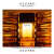 Azzaro Pour Homme Eau de Toilette - Perfume Masculino 100ml