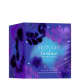 Midnight Fantasy Britney Spears Eau de Toilette - Perfume Feminino 30ml (2)