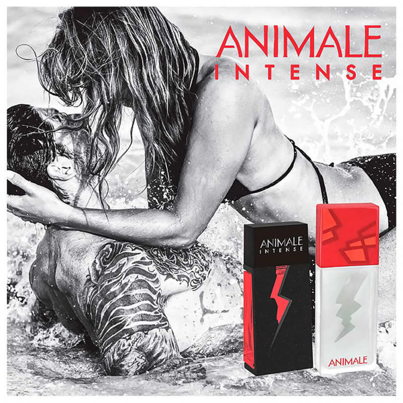 Animale Intense Eau de Parfum - Perfume Feminino 100ml